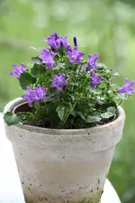 IMG_9788.webp