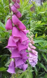 20120605_141256.webp