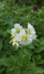 20120605_141400.webp