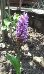 20120605_142301.webp