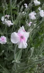 20120605_142805.webp