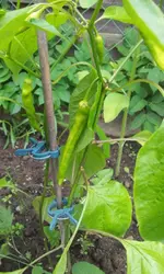 20120605_141712.webp