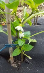 20120605_141902.webp