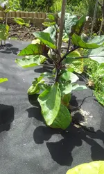 20120605_141935.webp