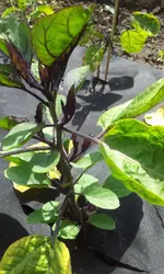 20120605_141951.webp