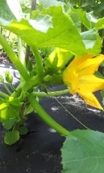 20120605_142126.webp