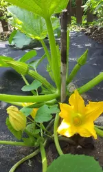 20120605_142156.webp