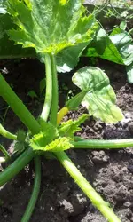 20120605_142211.webp