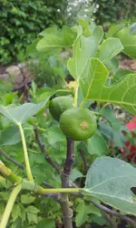 20120605_142728.webp