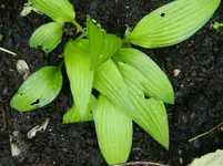 DSCN5624.webp