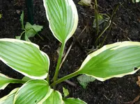 DSCN5625.webp