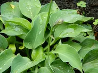 DSCN5630.webp