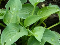 DSCN5631.webp