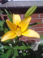08062012016.webp