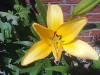 08062012017.webp