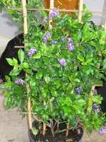 IMG_0281.webp