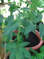 BILD0262.webp