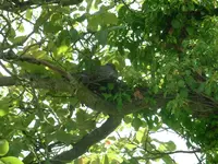 2012-06-09 11.21.00.webp