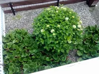 09062012550.webp