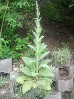 2012-06-09 15.20.46.webp