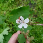 P1080080.webp