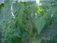 DSC01286.JPG