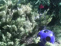 Kugel und Pilz.9.6.2012.webp