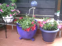 Rose Morsdag.9.6.2012.webp