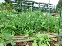 CIMG0307.webp