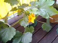 20120608_091834.webp