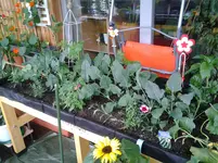 20120608_091716.webp