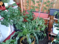 20120608_091826.webp