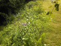 Foto-0007.webp