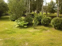 Foto-0006.webp