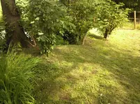 Foto-0002.webp