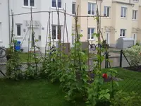 2012-06-10101001.webp