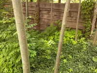 Foto-0011.webp