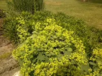 Foto-0010.webp