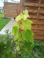 2012-06-10100951.webp
