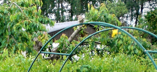 CIMG6809 Zuschauer.webp