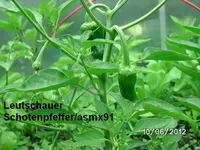 BILD0271.webp