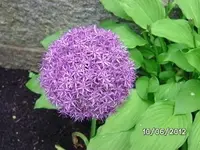 BILD0273.webp