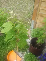 2012-05-05092909.webp