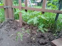 2012-06-06 19.57.15.webp