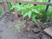 2012-06-06 19.57.27.webp