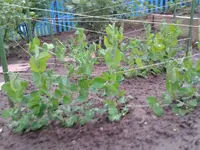 2012-06-06 19.58.13.webp