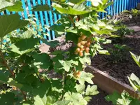 2012-06-10 10.54.14.webp