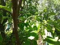 2012-06-10 10.55.24.webp