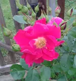 2012-06-06 19.59.26.webp