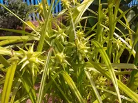 2012-06-10 10.32.32.webp